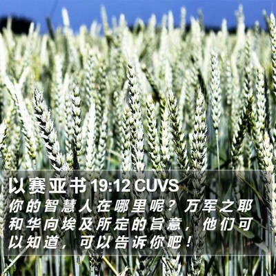 以 赛 亚 书 19:12 CUVS Bible Verse Image