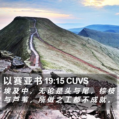 以 赛 亚 书 19:15 CUVS Bible Verse Image