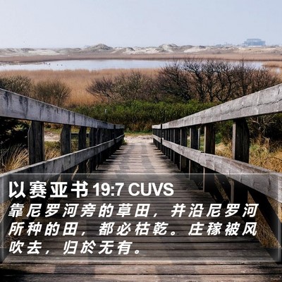 以 赛 亚 书 19:7 CUVS Bible Verse Image