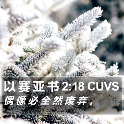 以 赛 亚 书 2:18 CUVS Bible Verse Image