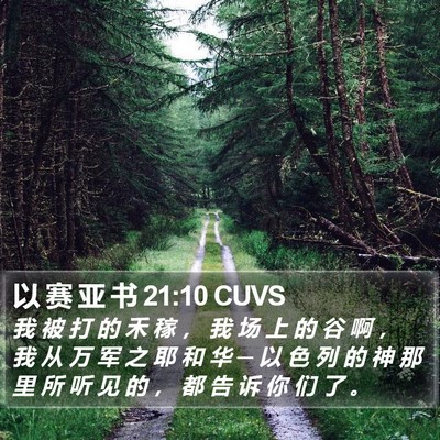 以 赛 亚 书 21:10 CUVS Bible Verse Image