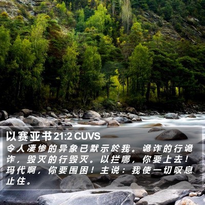 以 赛 亚 书 21:2 CUVS Bible Verse Image