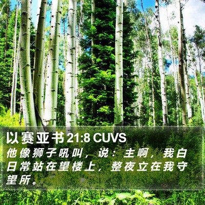 以 赛 亚 书 21:8 CUVS Bible Verse Image