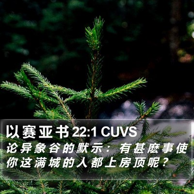 以 赛 亚 书 22:1 CUVS Bible Verse Image