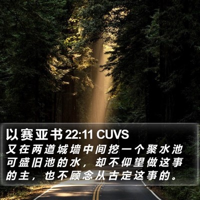 以 赛 亚 书 22:11 CUVS Bible Verse Image