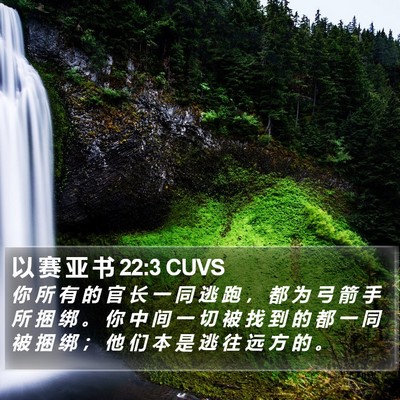 以 赛 亚 书 22:3 CUVS Bible Verse Image