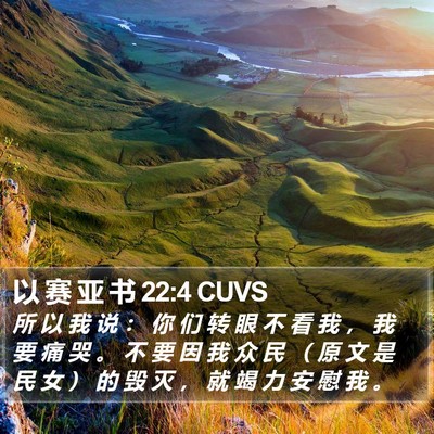 以 赛 亚 书 22:4 CUVS Bible Verse Image