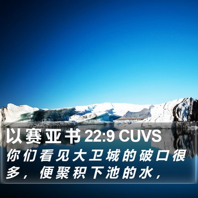 以 赛 亚 书 22:9 CUVS Bible Verse Image