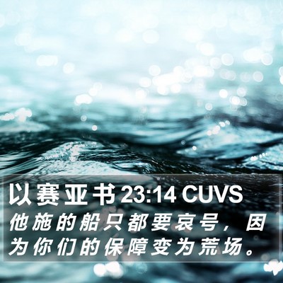 以 赛 亚 书 23:14 CUVS Bible Verse Image