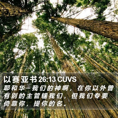 以 赛 亚 书 26:13 CUVS Bible Verse Image