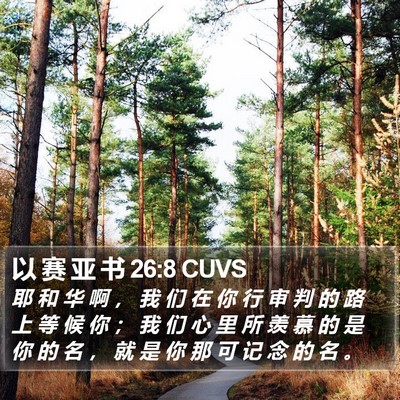 以 赛 亚 书 26:8 CUVS Bible Verse Image