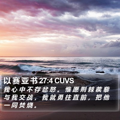 以 赛 亚 书 27:4 CUVS Bible Verse Image