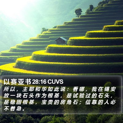 以 赛 亚 书 28:16 CUVS Bible Verse Image