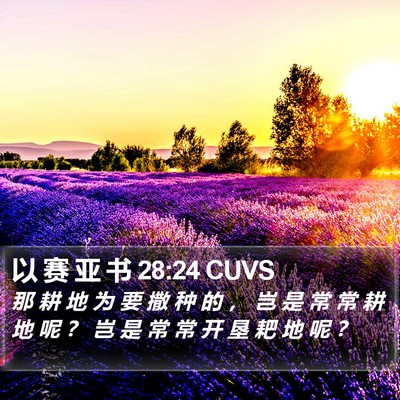 以 赛 亚 书 28:24 CUVS Bible Verse Image