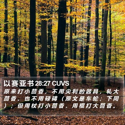 以 赛 亚 书 28:27 CUVS Bible Verse Image