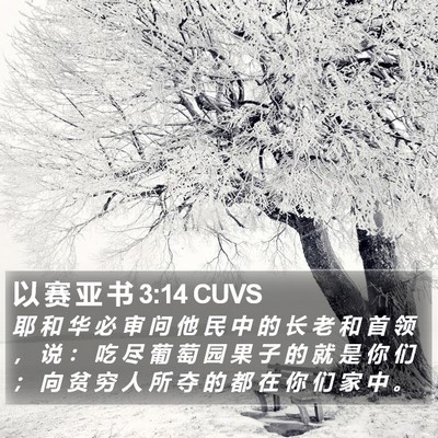 以 赛 亚 书 3:14 CUVS Bible Verse Image