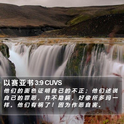 以 赛 亚 书 3:9 CUVS Bible Verse Image