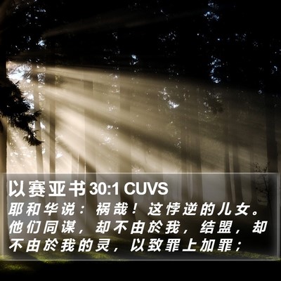 以 赛 亚 书 30:1 CUVS Bible Verse Image