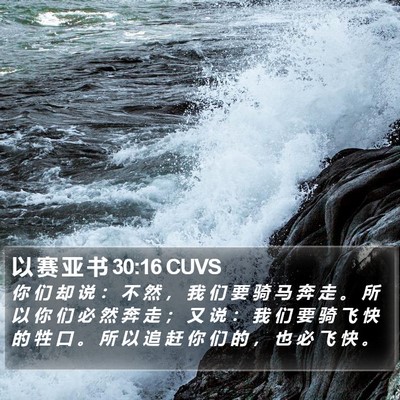 以 赛 亚 书 30:16 CUVS Bible Verse Image