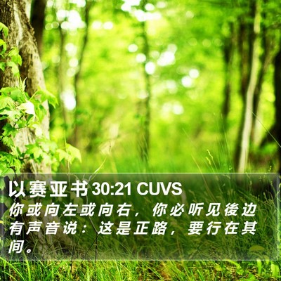 以 赛 亚 书 30:21 CUVS Bible Verse Image