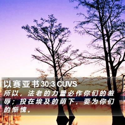 以 赛 亚 书 30:3 CUVS Bible Verse Image