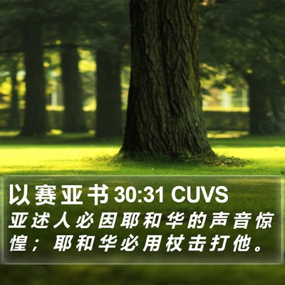 以 赛 亚 书 30:31 CUVS Bible Verse Image