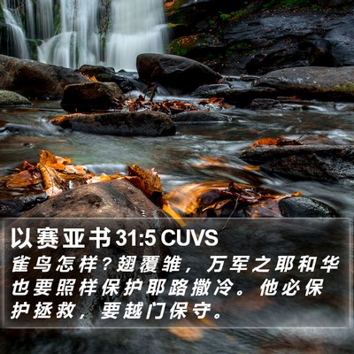 以 赛 亚 书 31:5 CUVS Bible Verse Image
