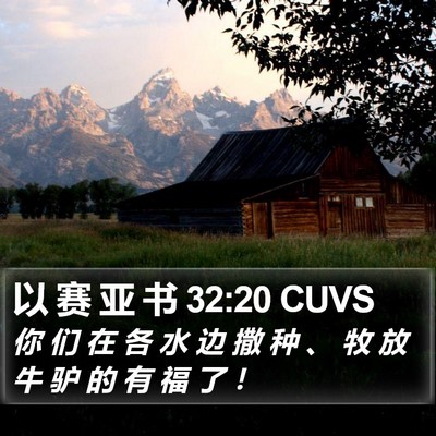 以 赛 亚 书 32:20 CUVS Bible Verse Image