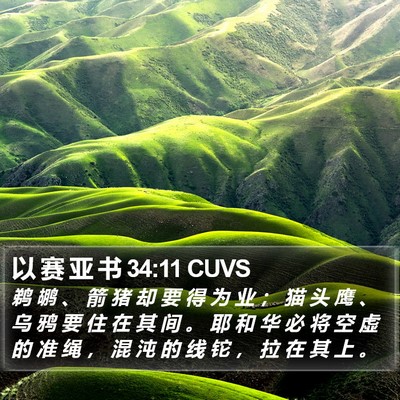 以 赛 亚 书 34:11 CUVS Bible Verse Image