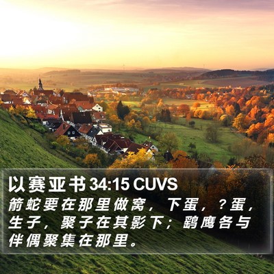以 赛 亚 书 34:15 CUVS Bible Verse Image