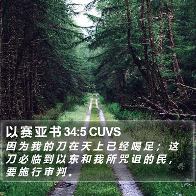 以 赛 亚 书 34:5 CUVS Bible Verse Image