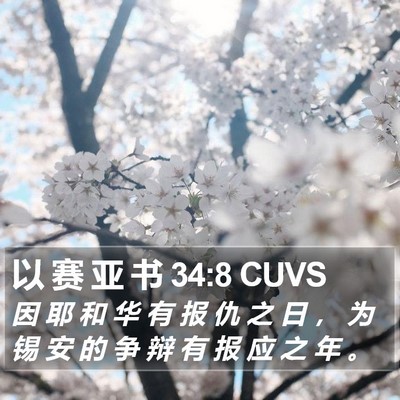 以 赛 亚 书 34:8 CUVS Bible Verse Image