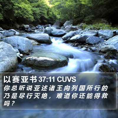 以 赛 亚 书 37:11 CUVS Bible Verse Image