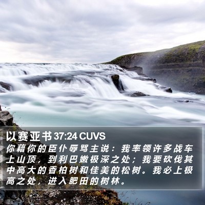 以 赛 亚 书 37:24 CUVS Bible Verse Image
