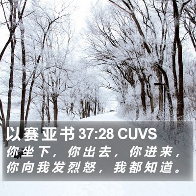 以 赛 亚 书 37:28 CUVS Bible Verse Image