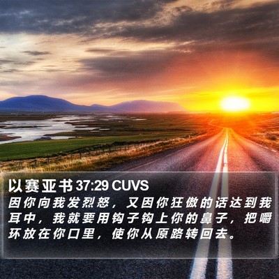 以 赛 亚 书 37:29 CUVS Bible Verse Image