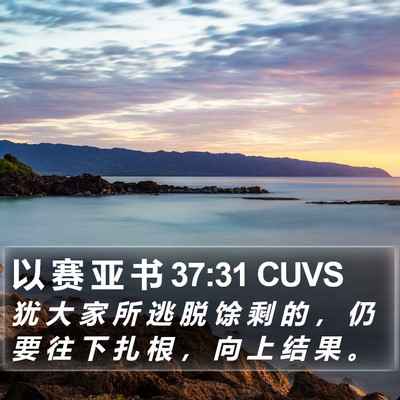 以 赛 亚 书 37:31 CUVS Bible Verse Image