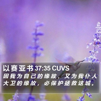 以 赛 亚 书 37:35 CUVS Bible Verse Image
