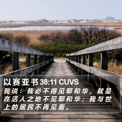 以 赛 亚 书 38:11 CUVS Bible Verse Image