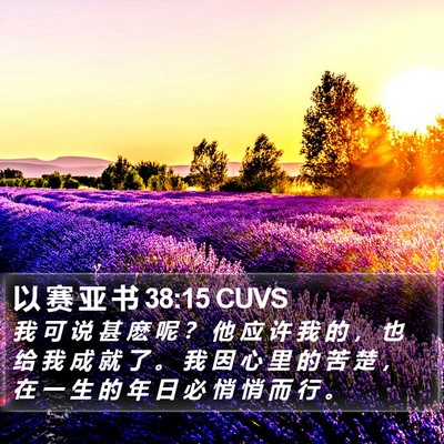 以 赛 亚 书 38:15 CUVS Bible Verse Image