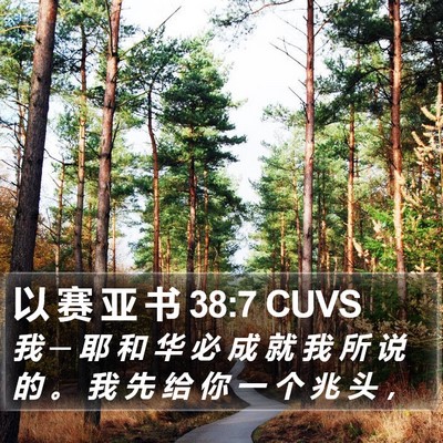 以 赛 亚 书 38:7 CUVS Bible Verse Image