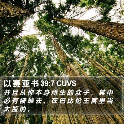 以 赛 亚 书 39:7 CUVS Bible Verse Image