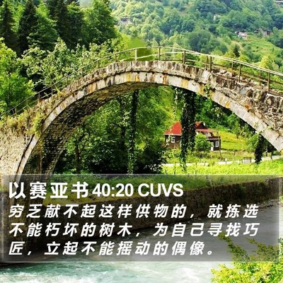 以 赛 亚 书 40:20 CUVS Bible Verse Image