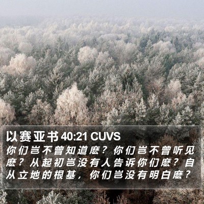 以 赛 亚 书 40:21 CUVS Bible Verse Image