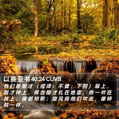 以 赛 亚 书 40:24 CUVS Bible Verse Image