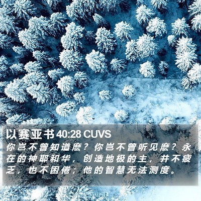 以 赛 亚 书 40:28 CUVS Bible Verse Image