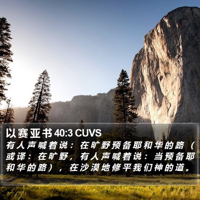以 赛 亚 书 40:3 CUVS Bible Verse Image
