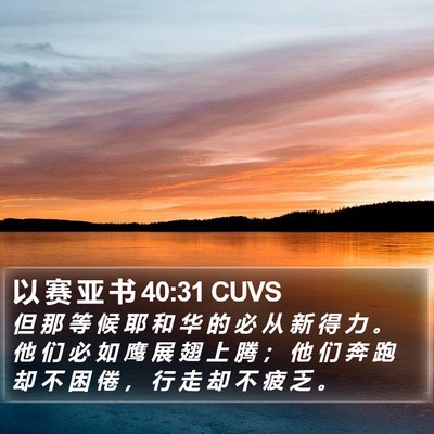 以 赛 亚 书 40:31 CUVS Bible Verse Image