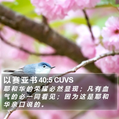 以 赛 亚 书 40:5 CUVS Bible Verse Image