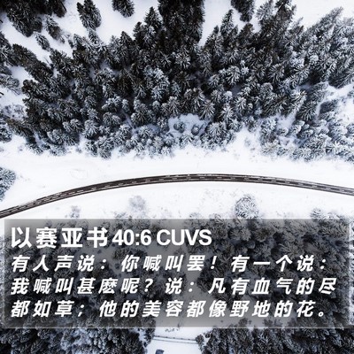 以 赛 亚 书 40:6 CUVS Bible Verse Image